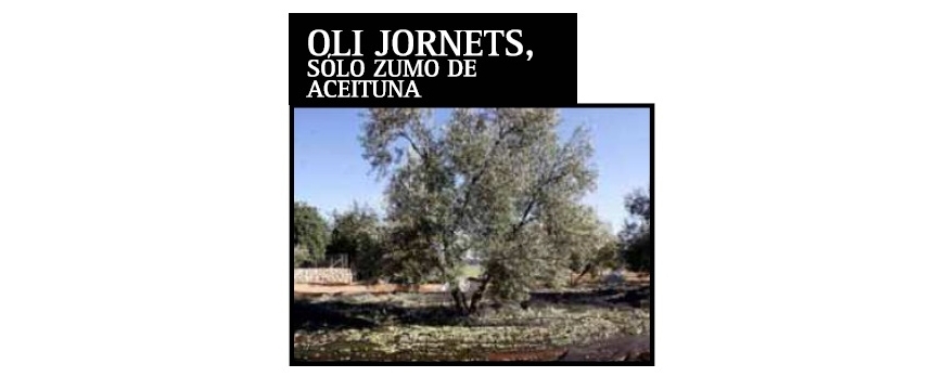 TERRA DE VINS 26.3.2014